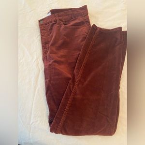 Loft velvet jean size 14/32 maroon color EUC worn one time
